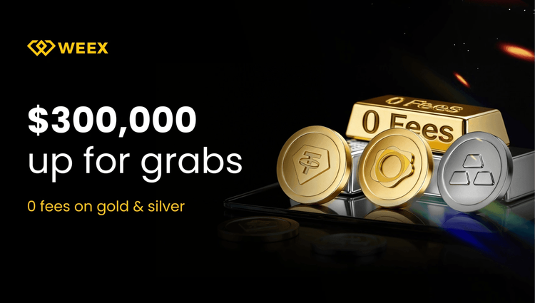 Silver (XAG) Trading Guide 2026: How to Profit from Silver on WEEX