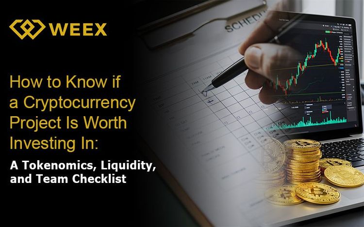 How to Know if a Cryptocurrency Project is Worth Investing In? A Checklist for Tokenomics, Liquidity, and the Team